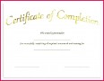 4 Blank Training Certificate Templates