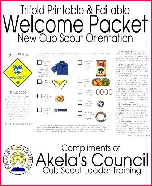 cub scout graduation certificate template medical form salary templates free word award of appreciation pocket templ