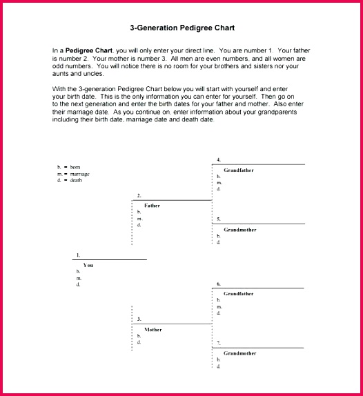 pedigree chart templates doc excel free premium generation template cat maker
