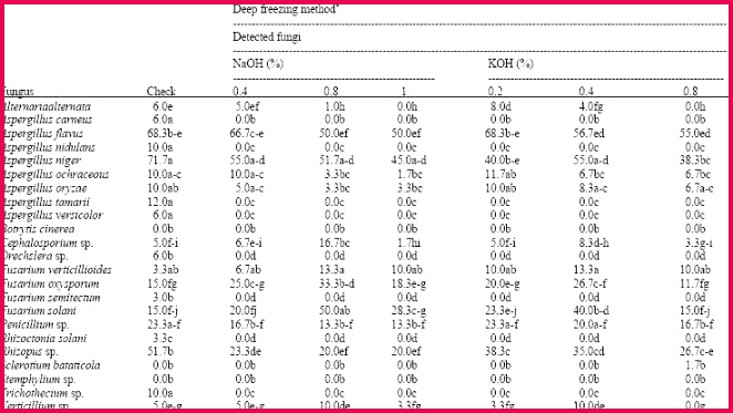 Free Download Free Marriage Certificate Template Word Wonderfully 373662 free d words for kindergarten best letter d lovely marriage