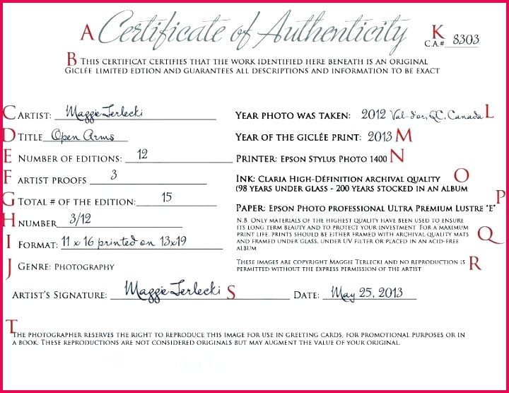 certificate of authenticity how to create your own photography template window