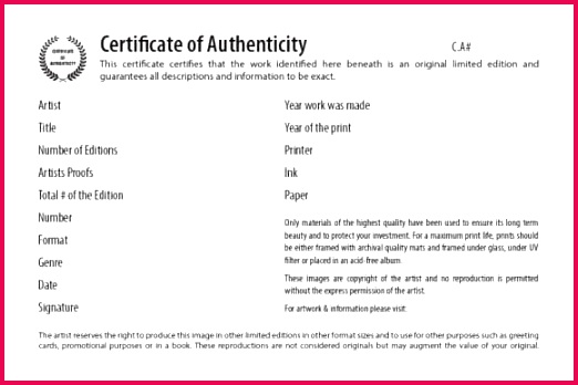 37 Certificate of Authenticity Templates Art Car Autograph 522348 certificate of authenticity 11 580x387