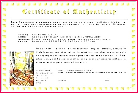 unique limited edition print certificate authenticity template letter of provenance best free lett