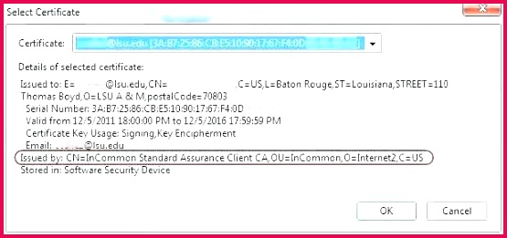 images birth certificate translation template to marriage pdf