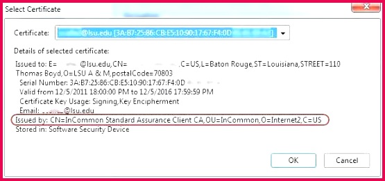 birth certificate translation template spanish to english luxe 65 new certificate translation template collections of birth certificate translation template spanish to english