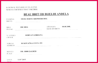 Request original Birth Certificate Best Filipino Birth 243378 request original birth certificate best of filipino birth certificate sample and how to dswd travel clearance photos of request original birth certificate