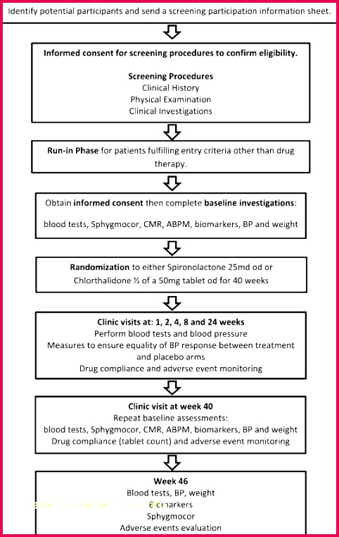 unique certificate conformity template word superb free exam history general format and physical lovely temp