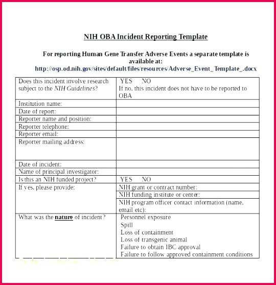 project pletion certificate