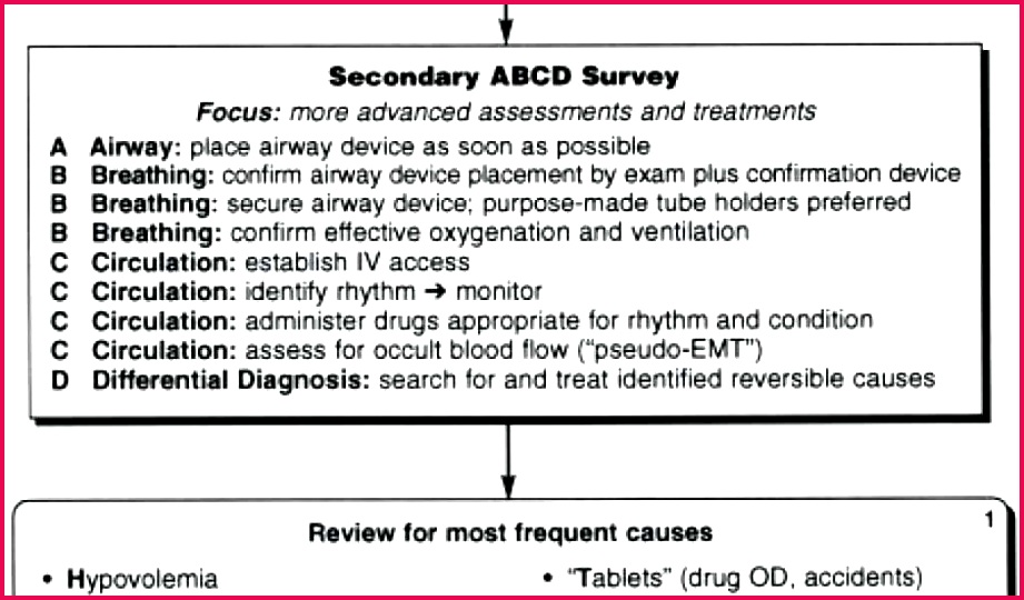 teacher certificate templates save template free certificate template templates design free teaching certificate lovely free templates check