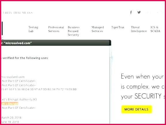 an ornate certificate of appreciation with a large lavender graphic free volunteer template examples