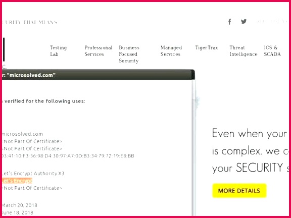 Excel Financial Model Template Unique the Business Plan format 432576 munity service certificate template elegant best thank you volunteers messages for appreciation letter of munity service certificate template
