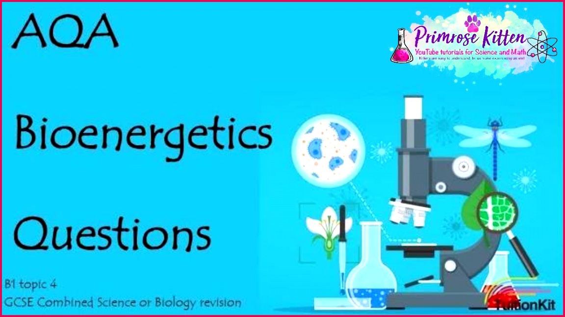 BIOENERGETICS AQA B1 Topic 4 Quick Fire Questions 9 1 GCSE 6481152 BIOENERGETICS AQA B1 Topic 4 Quick Fire Questions 9 1 GCSE Biology or bined Science Revision