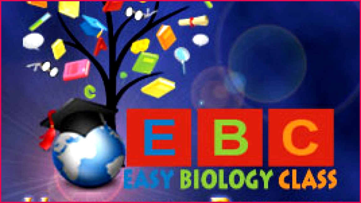 Molecular biology easybiologyclass