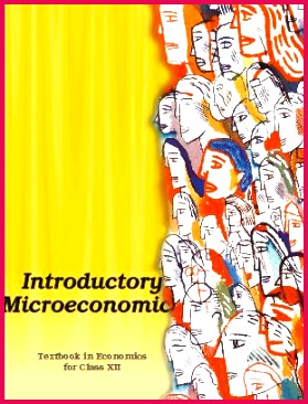 12 Economics Book pic