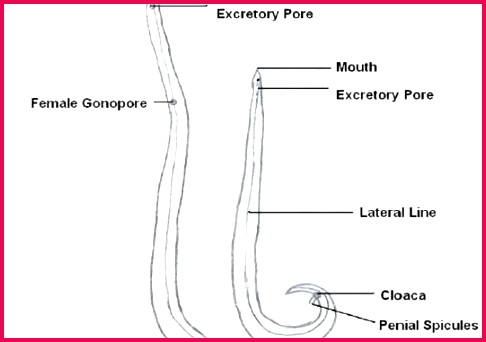 14f12b67a07 8000 1 541x381