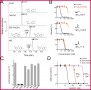 Class 12 Notes Chemistry Carboxylic Acids and Functional Derivatives Exercise