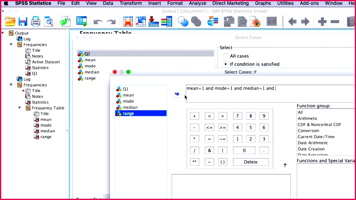SPSS Statistics DataEntry