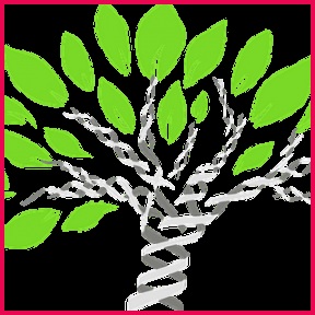 Notes Archives Biology Classrooms 288288 Class 9 Chapter 1 Introduction to Biology Branches of Biology