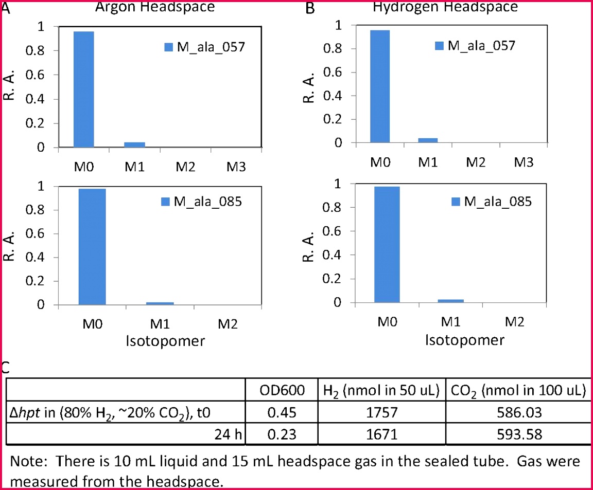 CO2 fixing one carbon metabolism in a cellulose degrading bacterium 9531152 Download figure