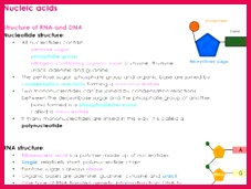 AQA A Level Biology NUCLEIC ACIDS notes for NEW A LEVEL SPEC by aabia42
