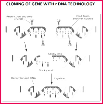 class 12 biology concept 266