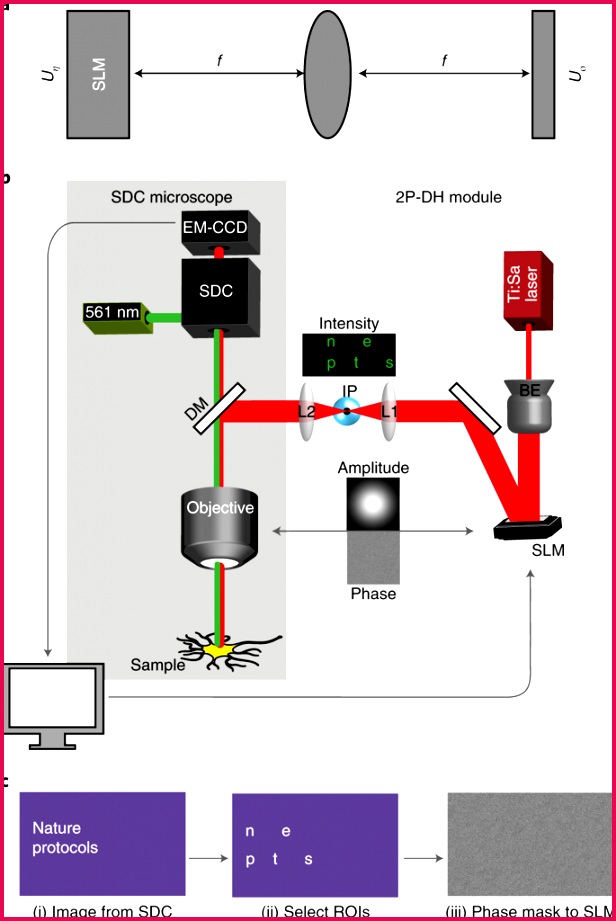 2018 118 Fig6 HTML