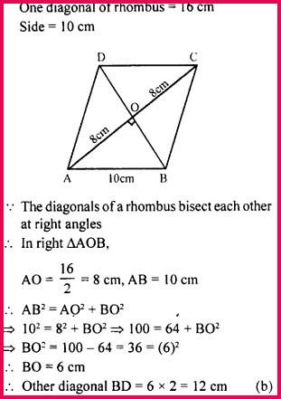 bb2d7c1457 o