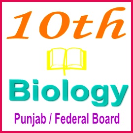 10th Biology Punjab Board Notes