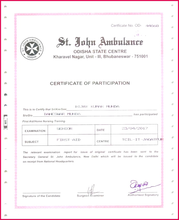 Training Certificate Template Download Word Free puter Course For