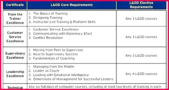 Excellence Award Certificate Sample Awesome Training Customer Service Excellence Award Template Service Excellence Award Template