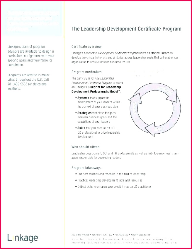 Professional Development Template Form Templates For Cv Teachers 655848 best certificate template free professional development