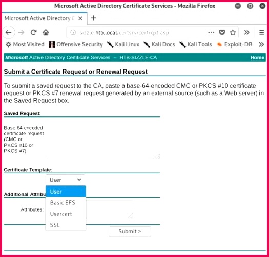 elkement 525503 amanda certsrv templates firefox