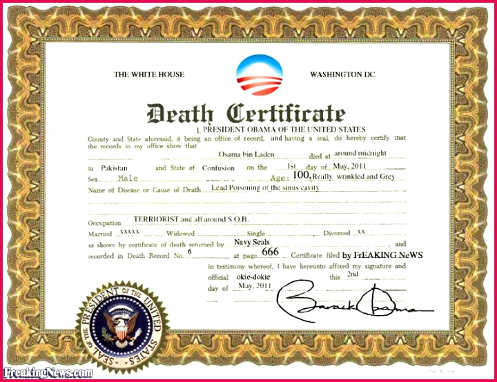 osama039s certificate pictures gallery freaking news certificate templates l 7ef c