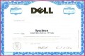 6 Delaware Stock Certificate Template