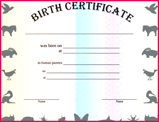 great birth certificate templates pictures of blank certificates