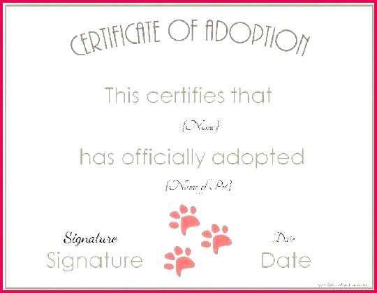 pet adoption certificate template free customize online ideas dog printable temp fake certificates birth