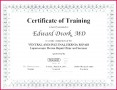 6 Experience Certificate Templates Download