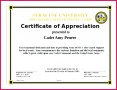 5 Free Army Certificate Of Appreciation Template