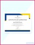 4 Free Basketball Camp Certificate Templates