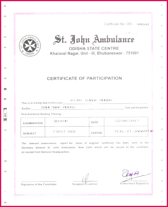 Travel Gift Certificate Template Free Great Fit To Fly Dog T 583720 certificate of insurance template elegant ownership unique driving policy business