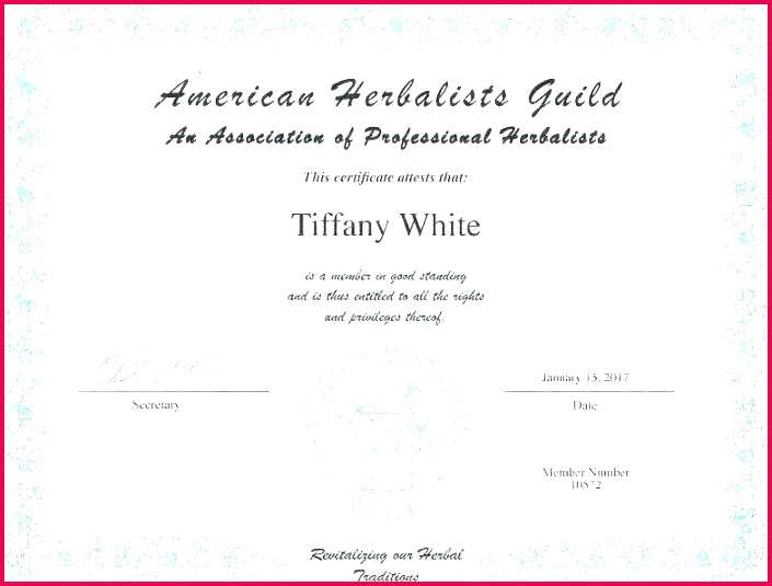 bachelor degree template gallery free synonym science diploma templates university graduation certificate transcript
