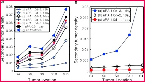 editable t certificate template inspirational sample t vouchers templates editable christmas t certificate template free