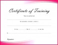 4 Free Fire Training Certificate Template