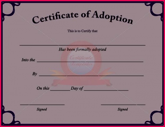 0d0b23e6901b3e19f35b