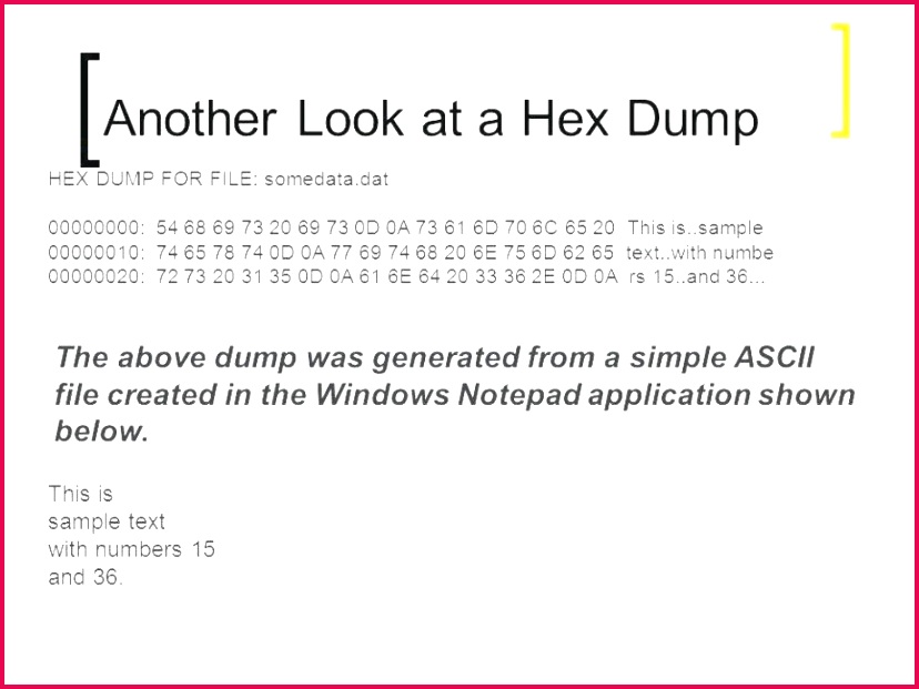 t certificate format template new free printable t certificate template bingo template 0d of t certificate format template