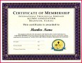 4 Free Llc Stock Certificate Template