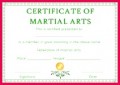 5 Free Martial Arts Certificate Template