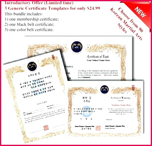 martial arts t certificate template templates new generic certificates format for flyers free s