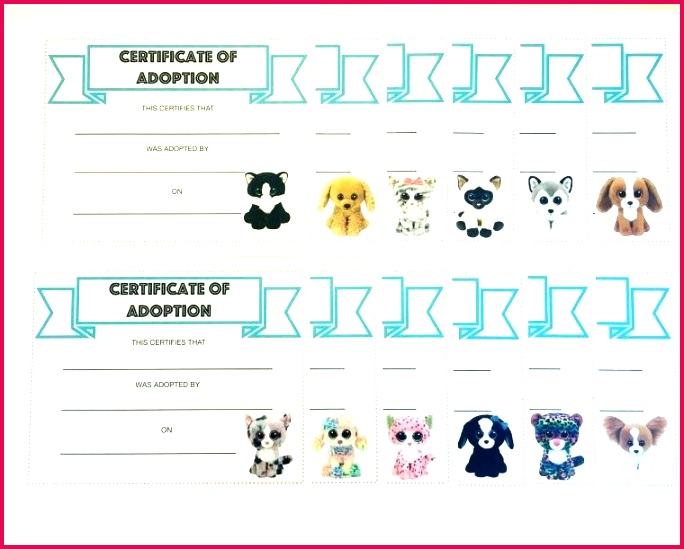 beanie boo adoption certificate template – stillmovement 549684 pet adoption certificate free printable available at for an adopt a or beanie boo birthday party template
