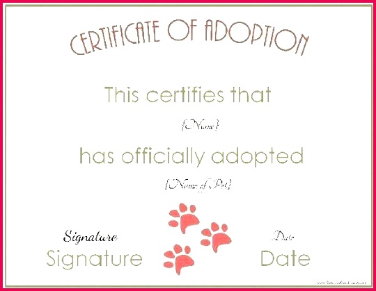 Cat Adoption Certificate Template Red Professional And High Pet Free 540419 animal free pet adoption certificate templates birthday template rock